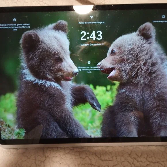 Windows Laptop